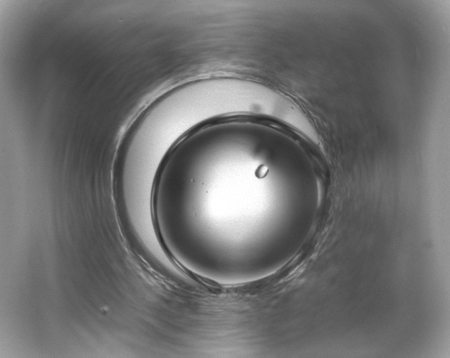 X0000066940244200603271144