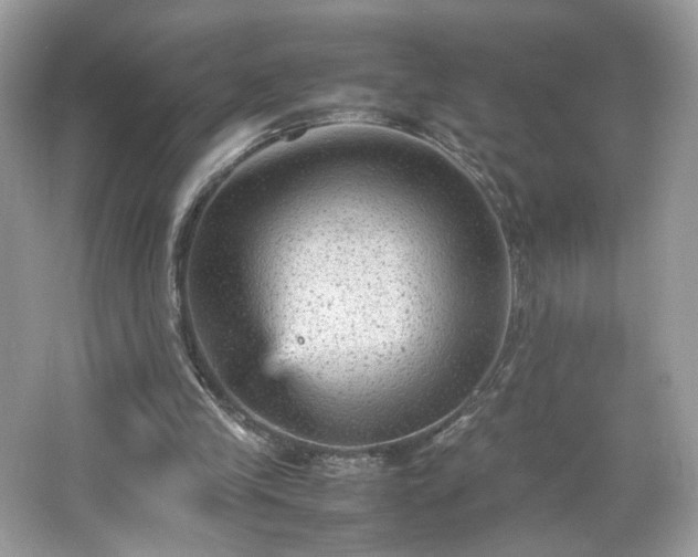 X0000066940245200603271144