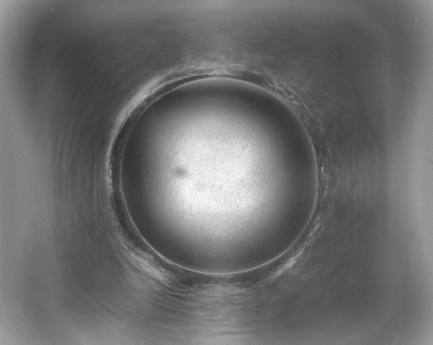 X0000066940246200603271144