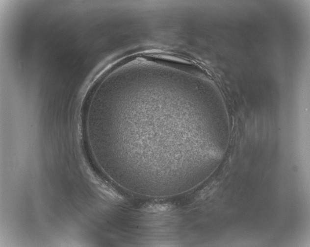 X0000066940247200603271144