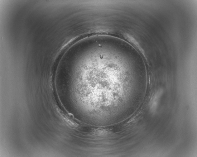 X0000066940249200603271144