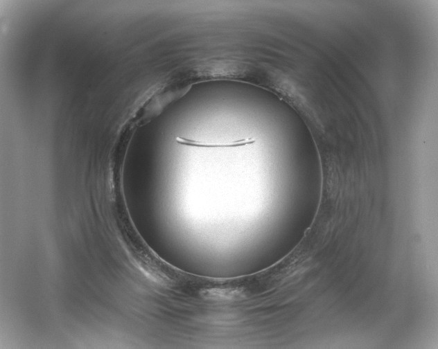 X0000066940251200603271144