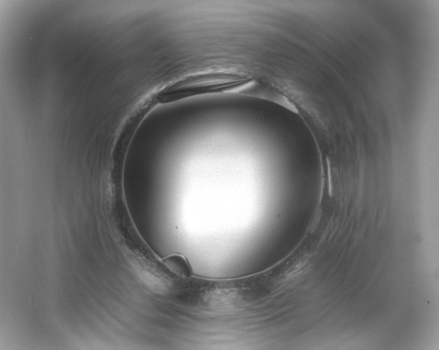 X0000066940252200603271144