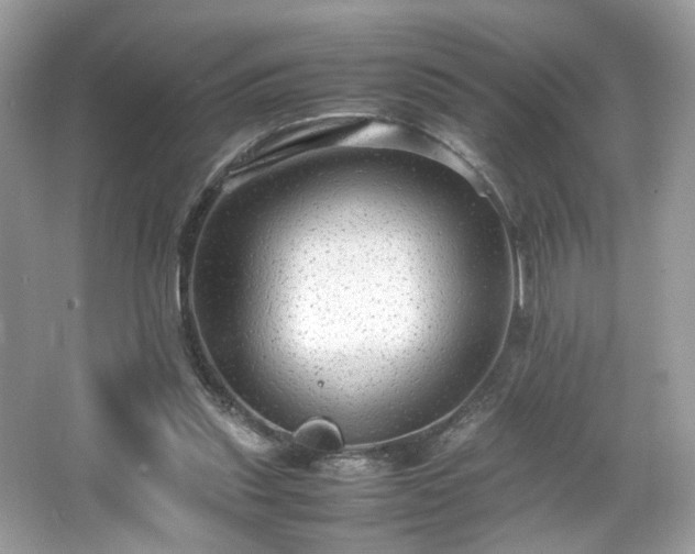 X0000066940253200603271144