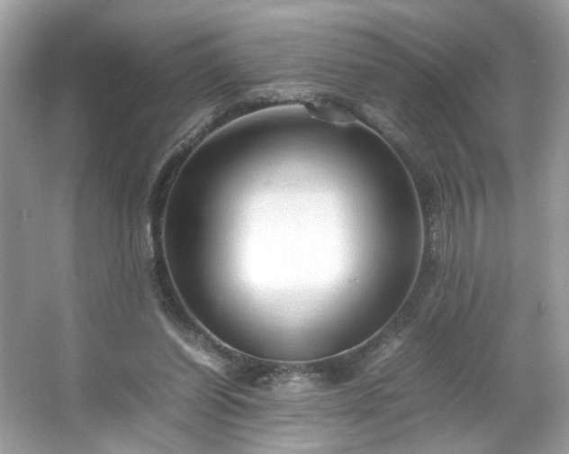 X0000066940254200603271144