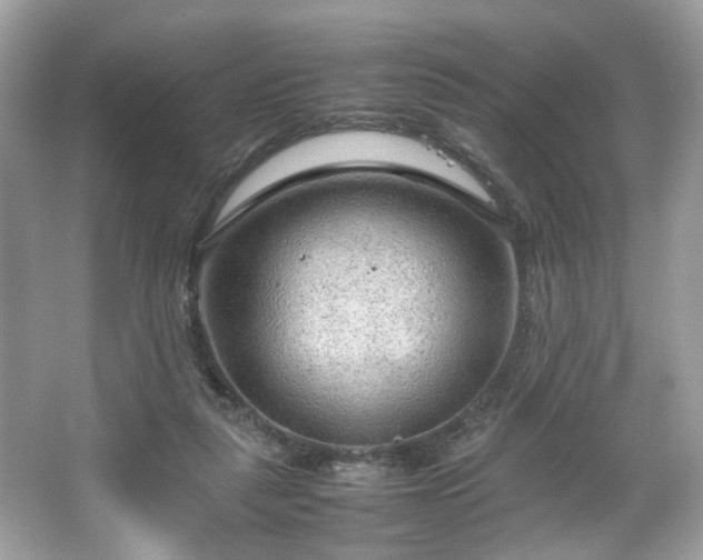 X0000066940259200603271144