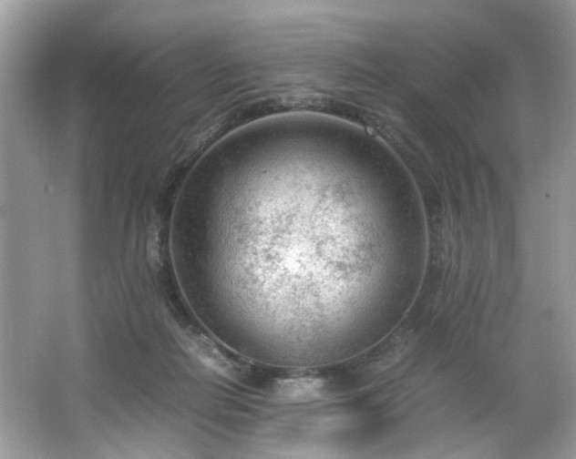 X0000066940266200603271144