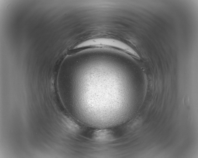 X0000066940269200603271144