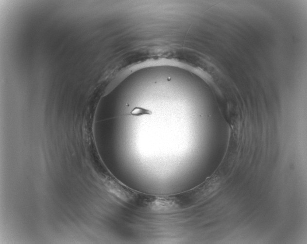 X0000066940270200603271144