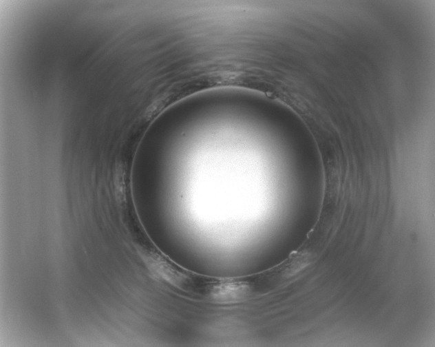 X0000066940274200603271145