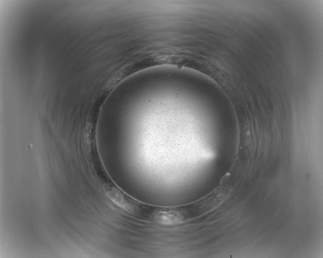 X0000066940275200603271145