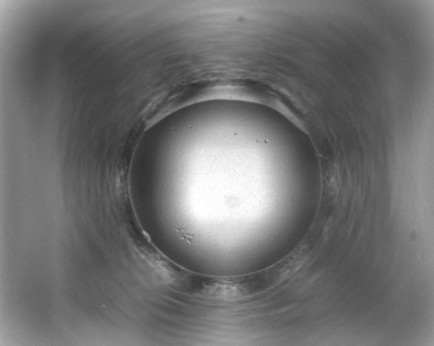 X0000066940276200603271145