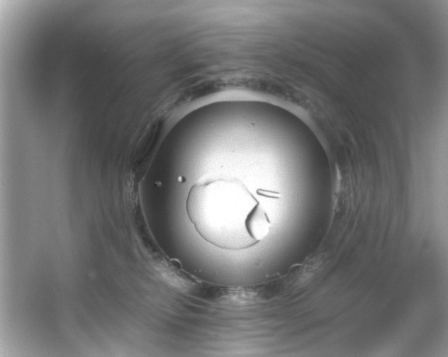 X0000066940278200603271145