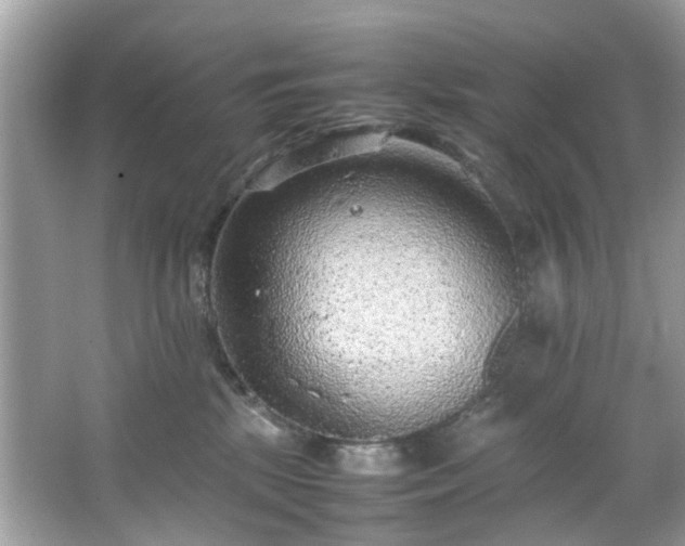 X0000066940281200603271145