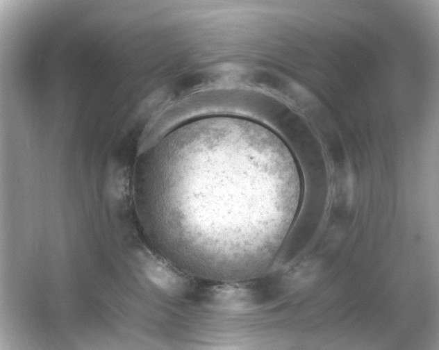 X0000066940284200603271145