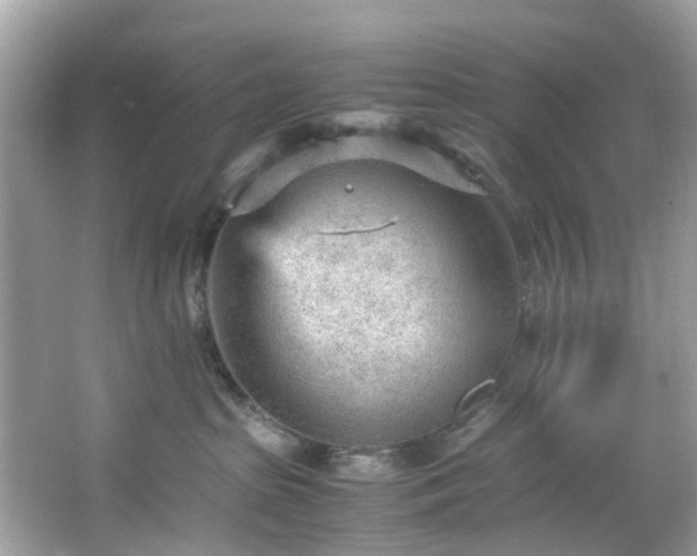 X0000066940285200603271145