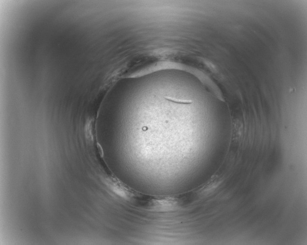 X0000066940286200603271145