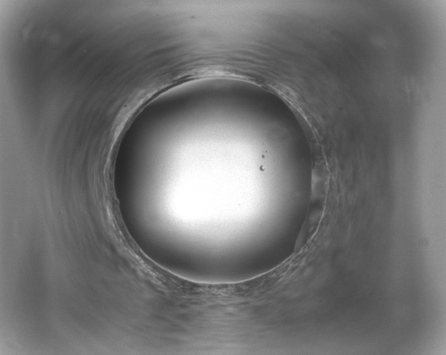 X0000066940289200603271144