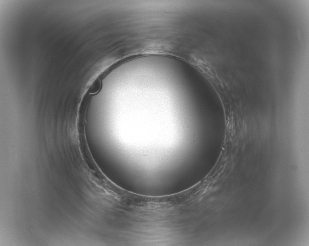 X0000066940292200603271144