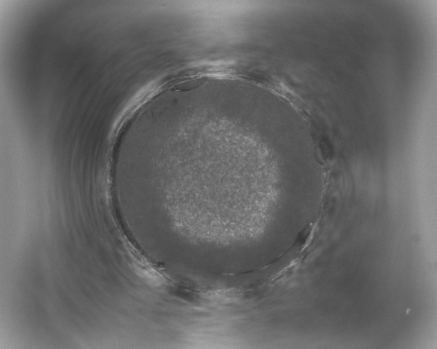 X0000066940293200603271144