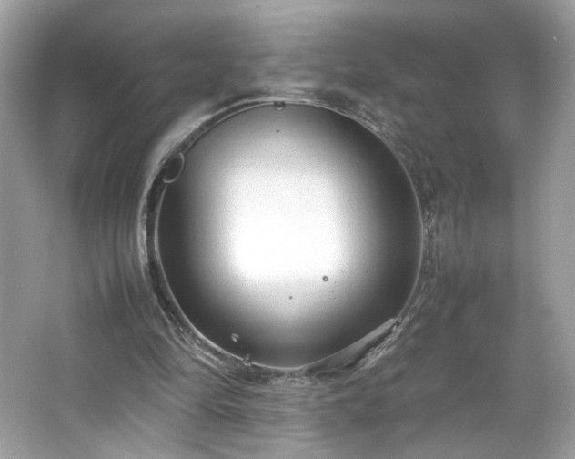 X0000066940294200603271144