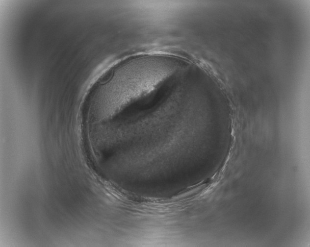 X0000066940295200603271144