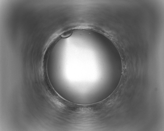 X0000066940296200603271144