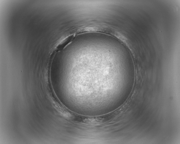 X0000066940297200603271144