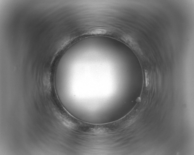 X0000066940300200603271144