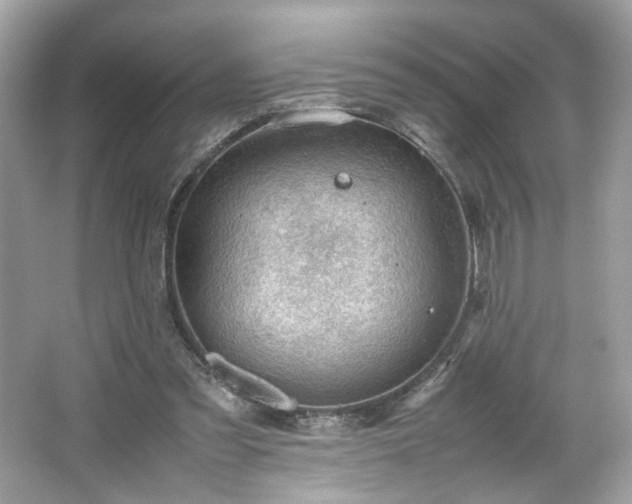 X0000066940301200603271144