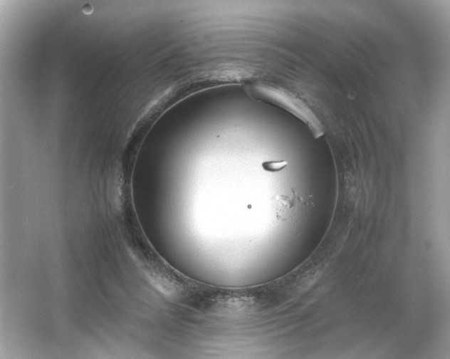 X0000066940304200603271144