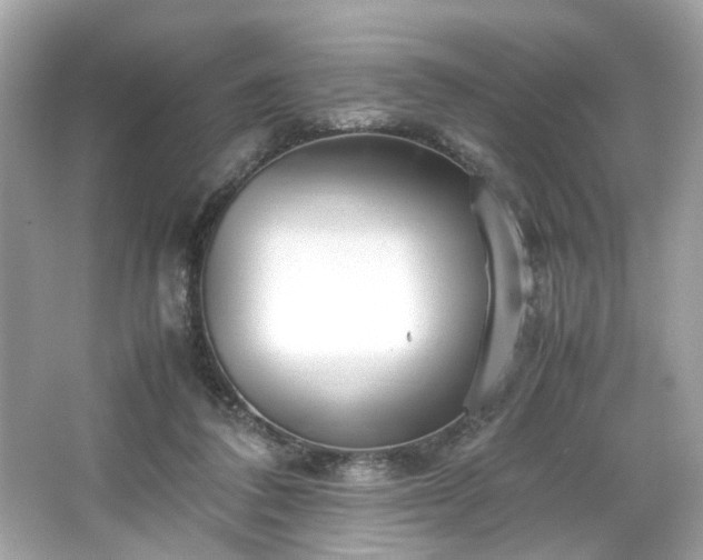 X0000066940308200603271144