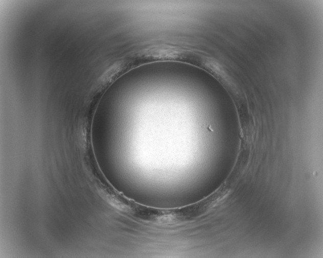 X0000066940309200603271144