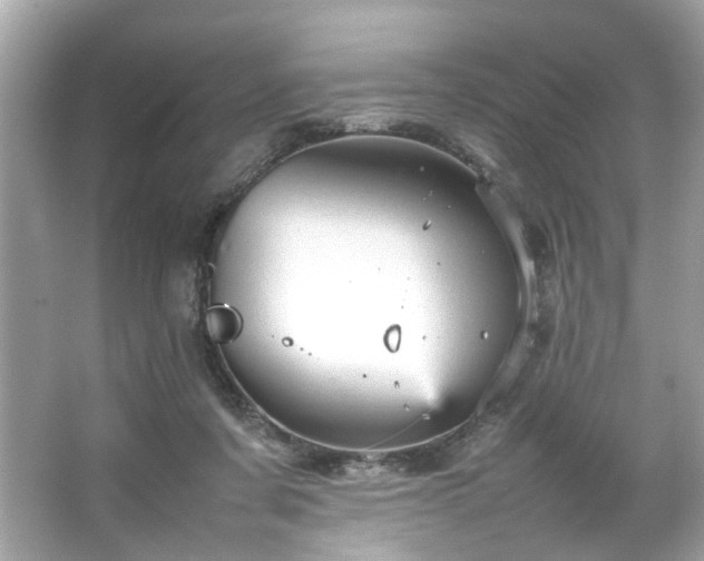 X0000066940311200603271144