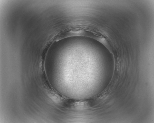 X0000066940314200603271144