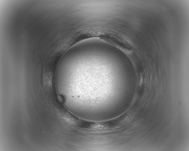 X0000066940315200603271144