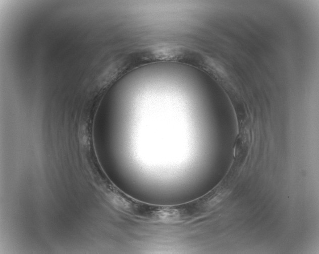 X0000066940317200603271143