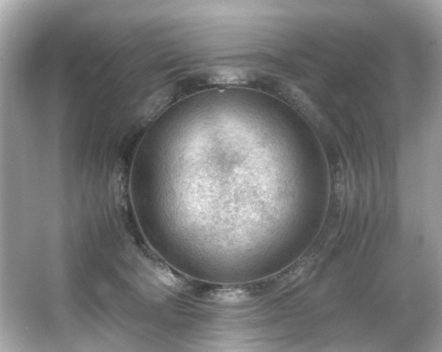 X0000066940322200603271143