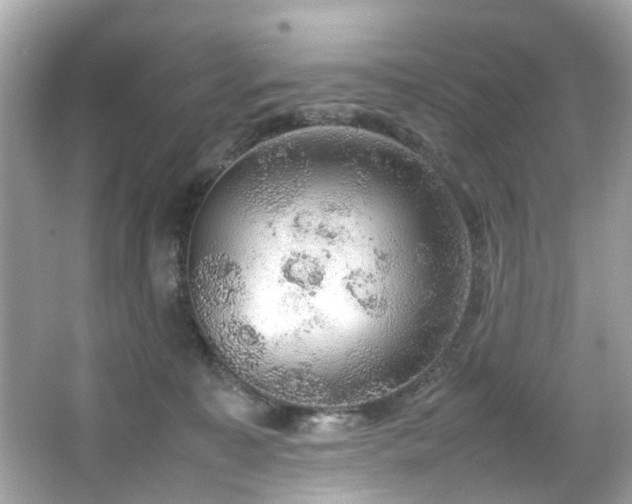 X0000066940323200603271143