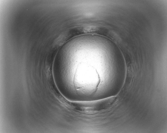 X0000066940327200603271143