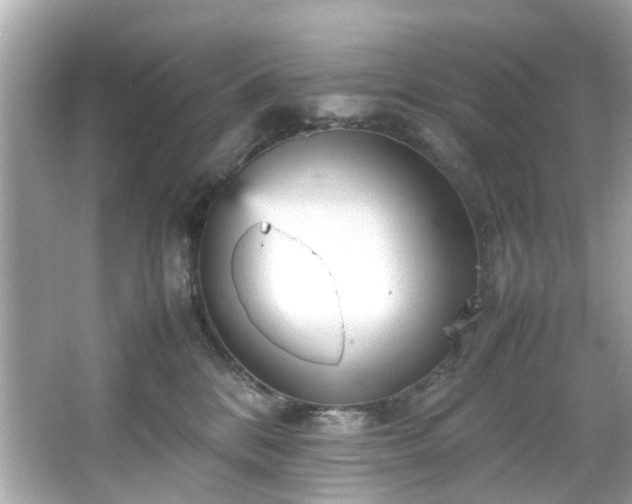 X0000066940328200603271143