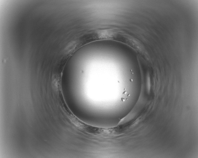 X0000066940329200603271143