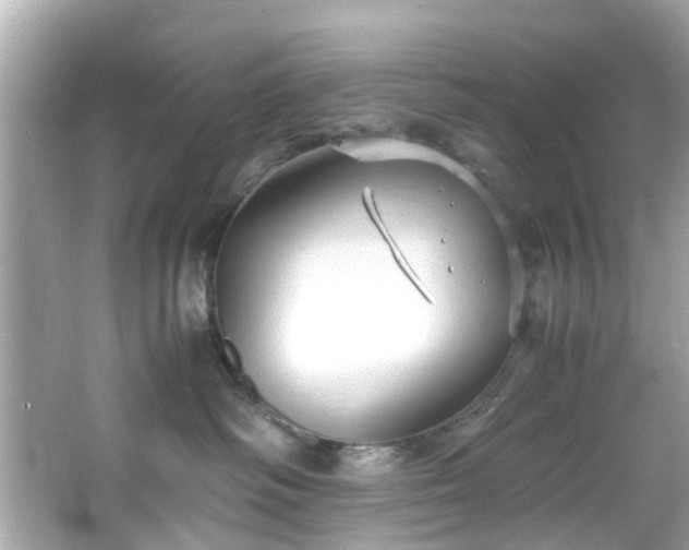 X0000066940334200603271143