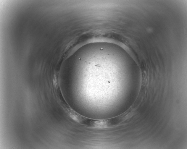 X0000066940335200603271143