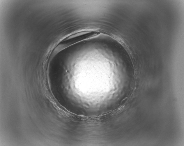 X0000066940337200603271142