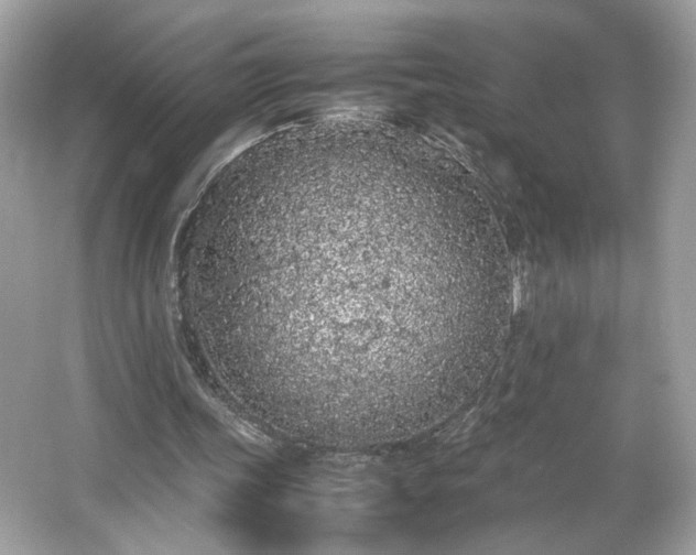 X0000066940339200603271142