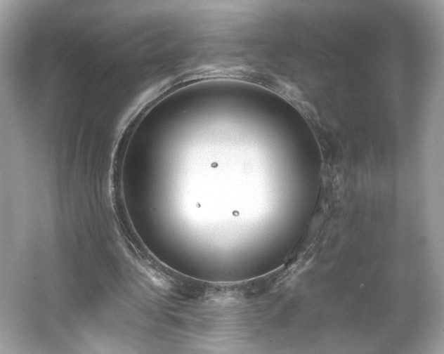 X0000066940340200603271142