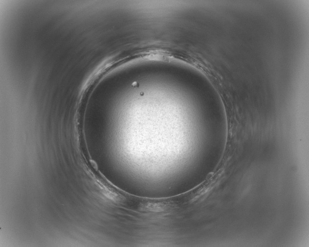 X0000066940341200603271142