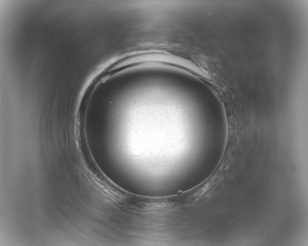 X0000066940342200603271142