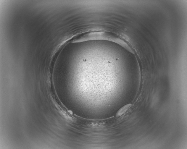 X0000066940345200603271142